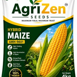 Agrizen Hybrid Maize Seed  AZH-9601